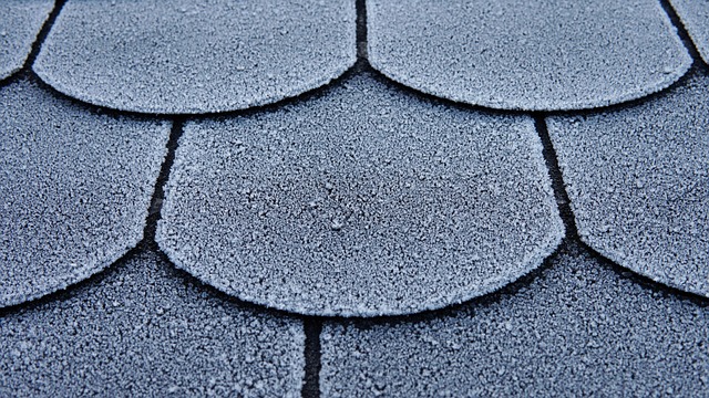 rooferroofingroof-repairroof-installatio-640x480-16699884.jpeg