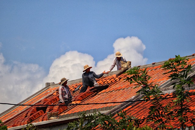 roofer|roofing|roof repair|roof installation