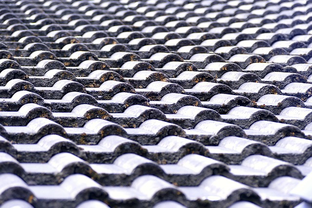 roofer|roofing|roof repair|roof installation
