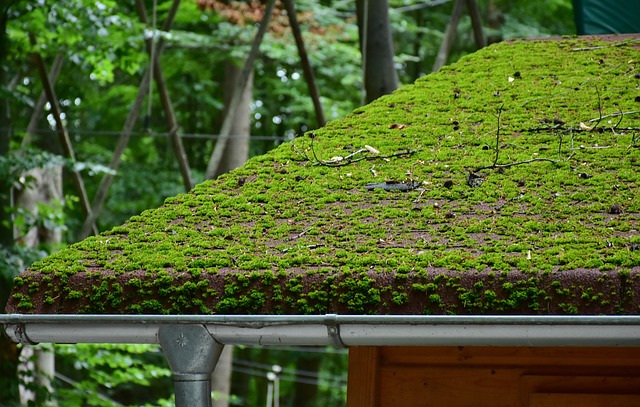 roofer|roofing|roof repair|roof installation