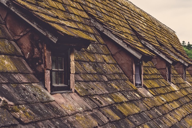 roofer|roofing|roof repair|roof installation