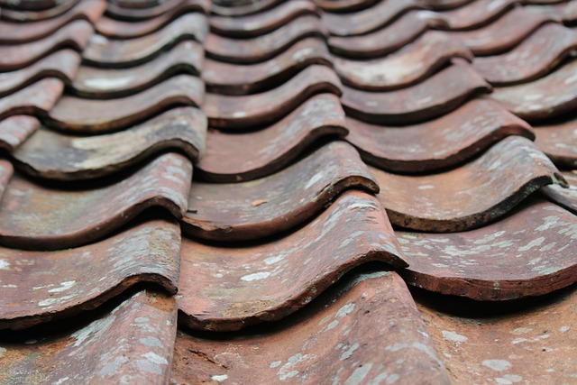roofer|roofing|slate roof|slate roof repair|slate roof installation