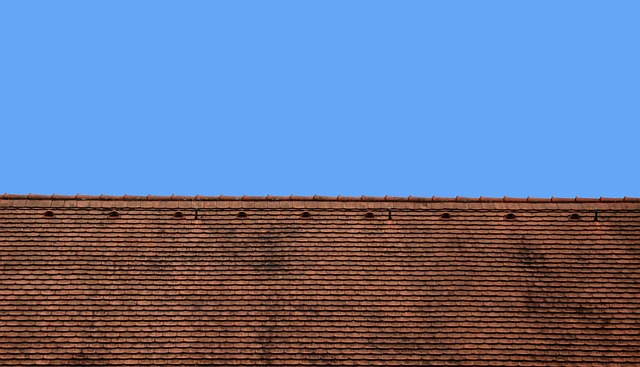 roofingleaking-roofroof-leaksroof-repair-640x480-69731431.jpeg