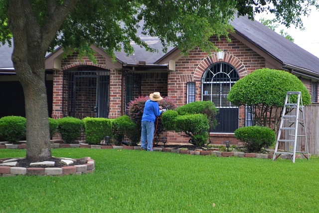 tree company|tree removal|stump grinding|tree trimming