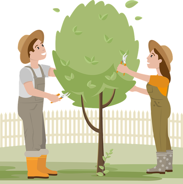 tree company|tree removal|stump grinding|tree trimming