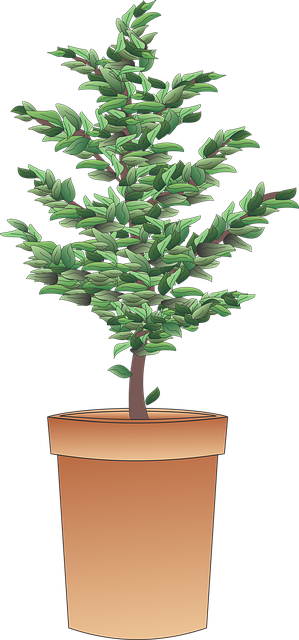 tree company|tree removal|stump grinding|tree trimming