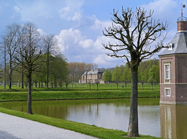 tree removal|tree removal|stump grinding|tree trimming