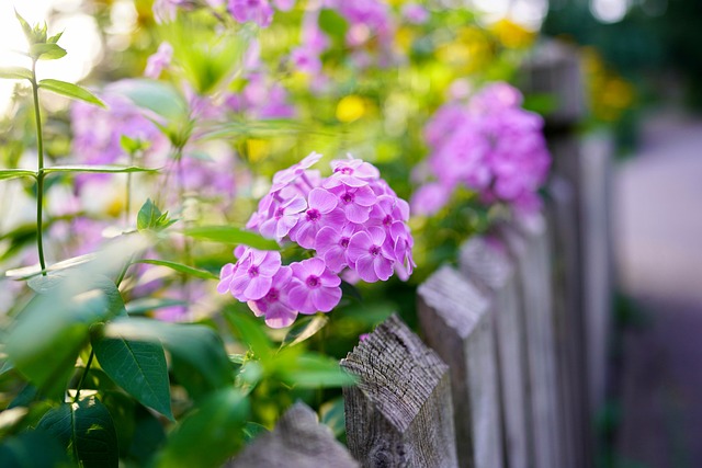 fence-company-640x480-2778428.jpeg