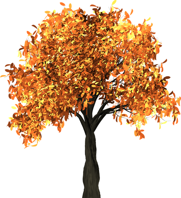 npressfetimg-372.png