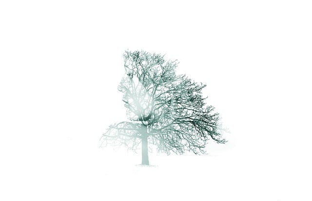 npressfetimg-3907.png