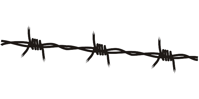 npressfetimg-4287.png