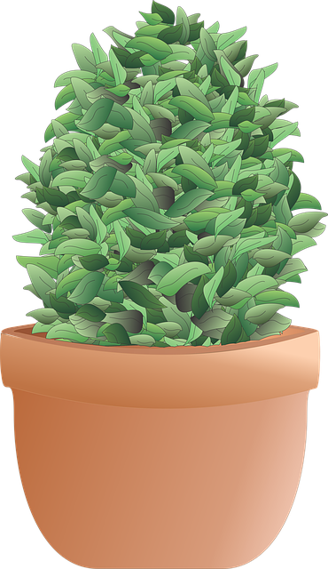 tree removal|tree removal|stump grinding|tree trimming