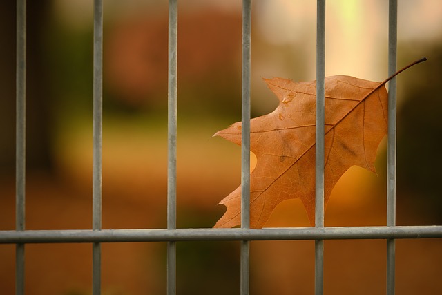 fence-company-640x480-80425223.jpeg