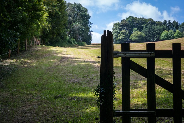 fence-company-640x480-96833125.jpeg