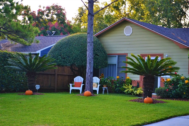 tree removal|tree removal|stump grinding|tree trimming