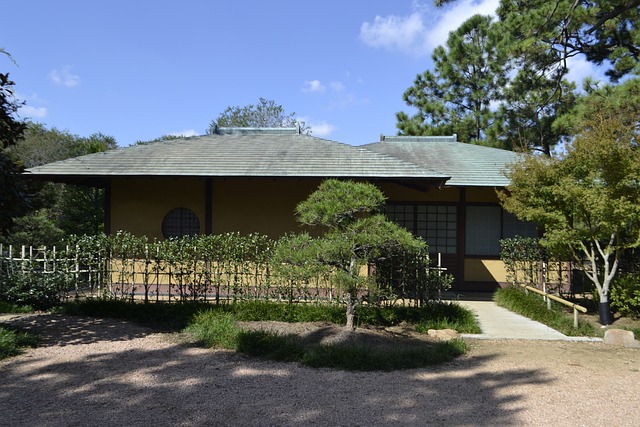 tree removal|tree removal|stump grinding|tree trimming