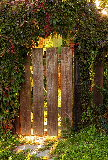 fence-company-640x480-11454687.jpeg