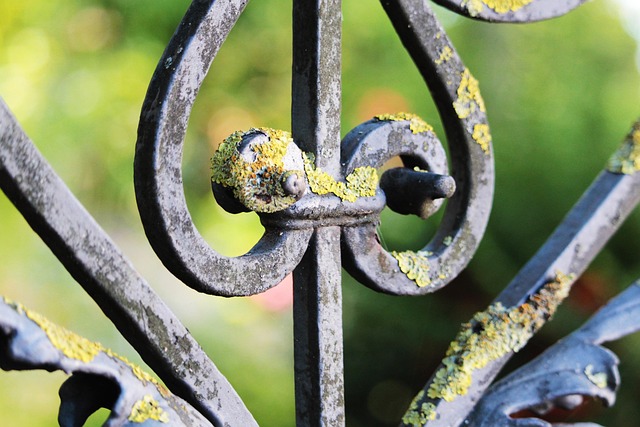 fence-company-640x480-18570286.jpeg