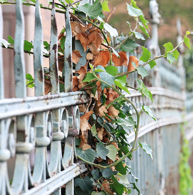fence-company-640x480-3440098.jpeg