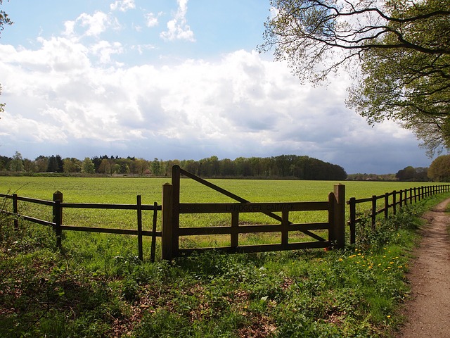 fence-company-640x480-34404749.jpeg