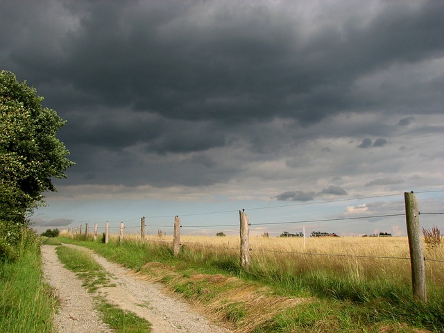 fence-company-640x480-3504451.jpeg