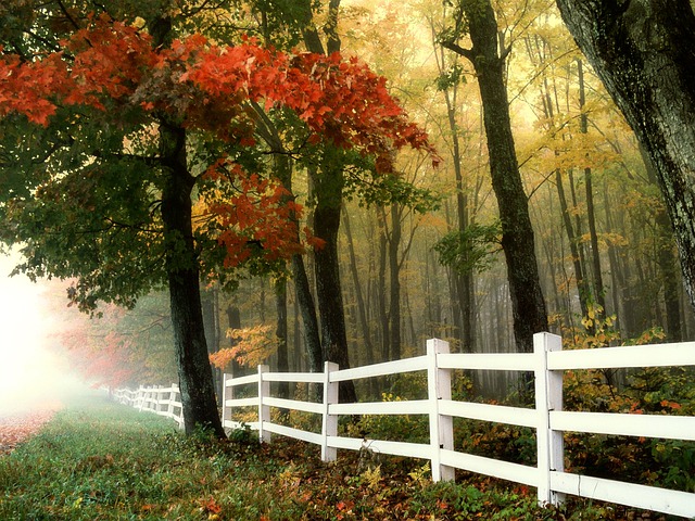 fence-company-640x480-43048276.jpeg