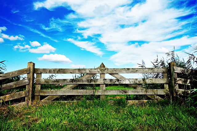 fence-company-640x480-45379291.jpeg