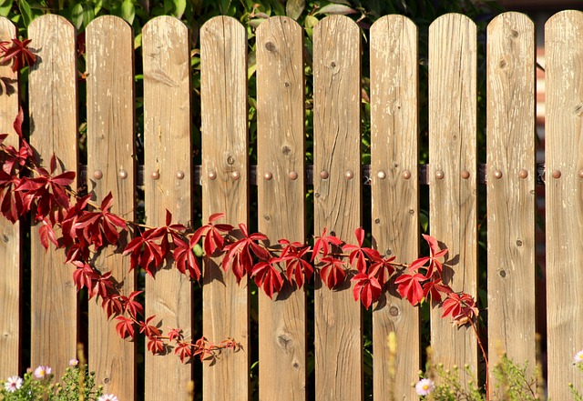 fence-company-640x480-55953476.jpeg