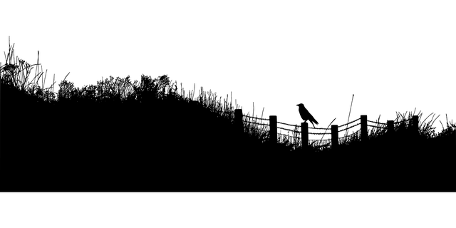 fence-company-640x480-57422858.png