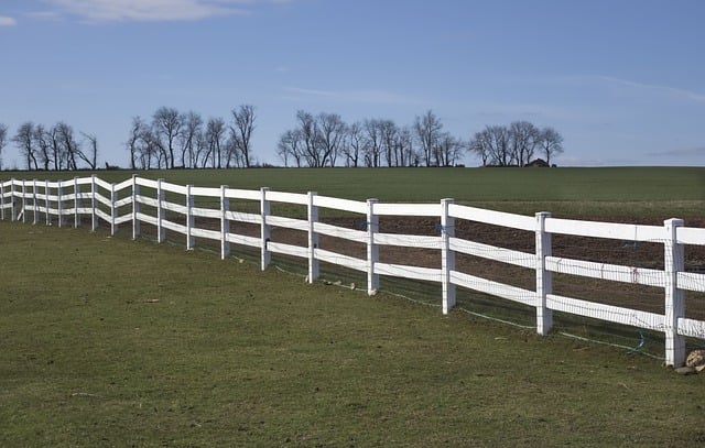 fence-company-640x480-61325431.jpeg