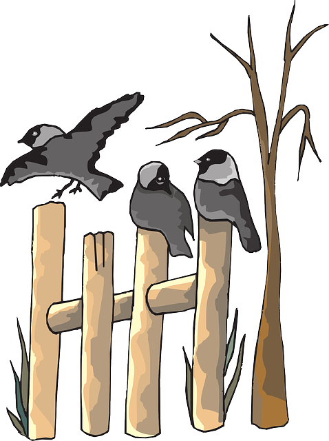 fence-company-640x480-62510221.png