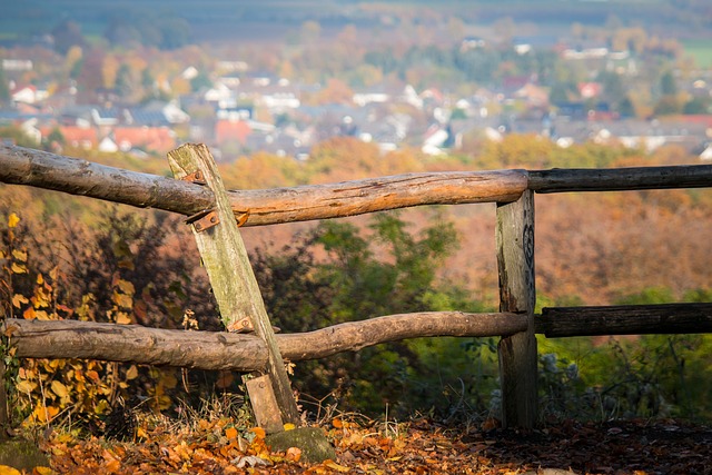 fence-company-640x480-63600127.jpeg