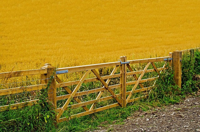 fence-company-640x480-64089133.jpeg