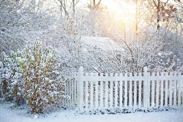 fence-company-640x480-68161876.jpeg