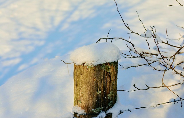 fence-company-640x480-75914485.jpeg