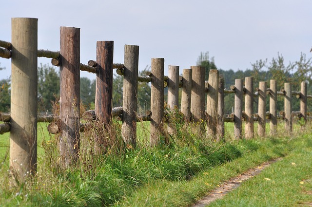 fence-company-640x480-8021863.jpeg