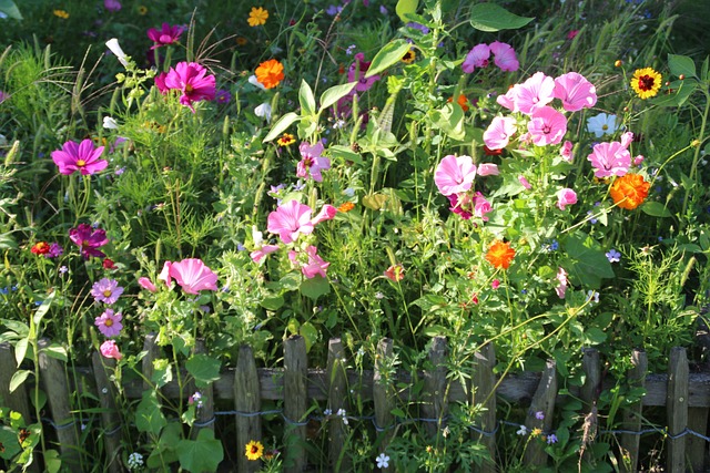 fence-company-640x480-88431690.jpeg
