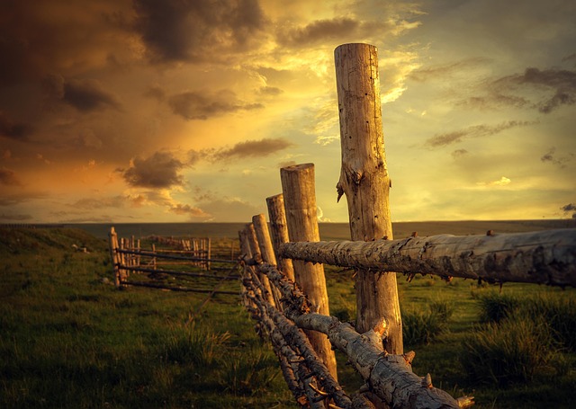 fence-company-640x480-9803806.jpeg