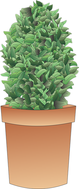 tree-removaltree-removalstump-grindingtr-640x480-99129194.png
