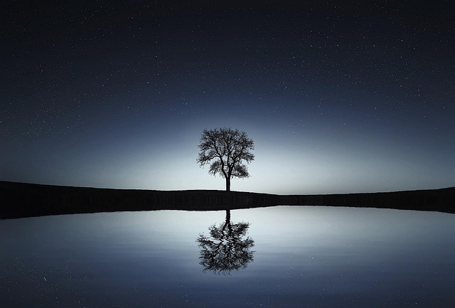 tree-service-640x480-86919145.jpeg