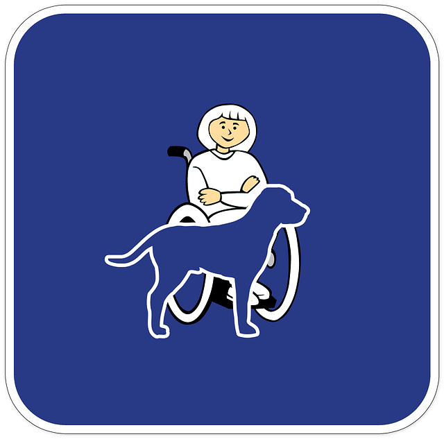 tree-service-640x480-9649335.png