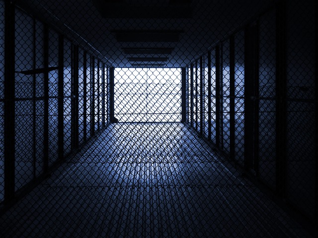 fence-company-640x480-24689680.jpeg