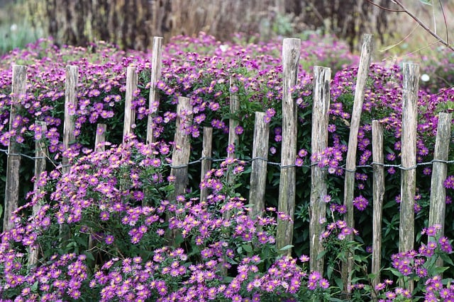 fence-company-640x480-33832932.jpeg