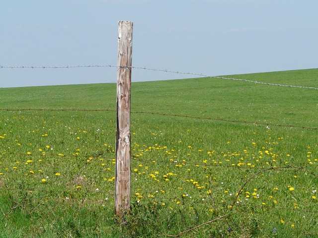 fence-company-640x480-52984847.jpeg