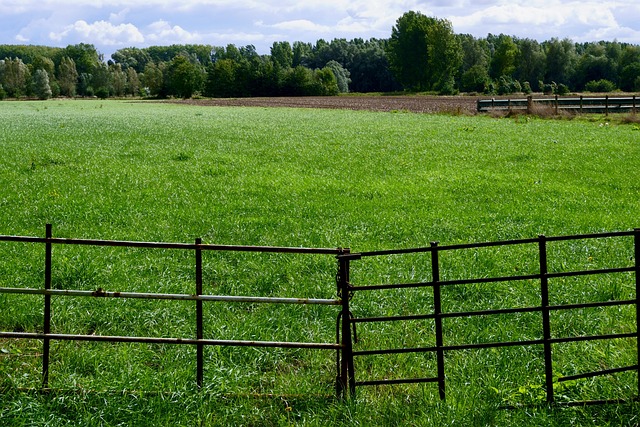 fence-company-640x480-85320520.jpeg