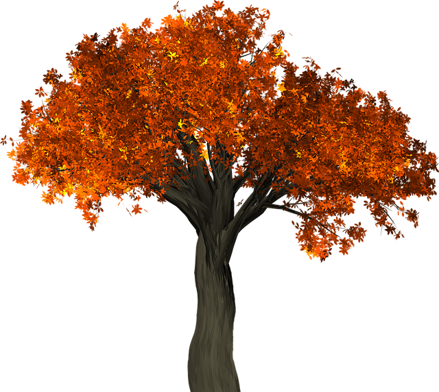 tree-service-640x480-42955663.png