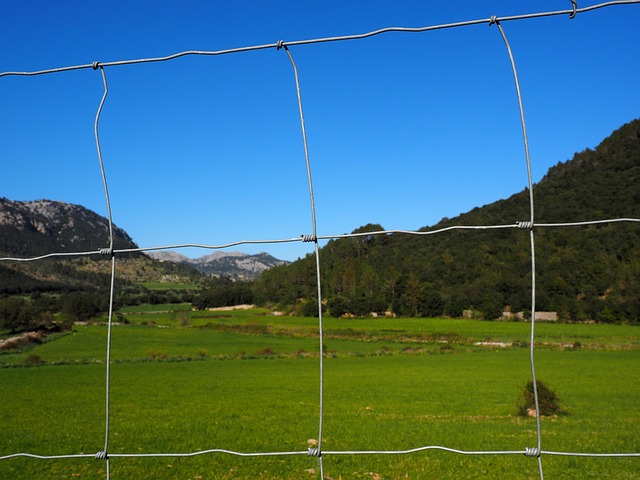 fence-company-640x480-1287849.jpeg