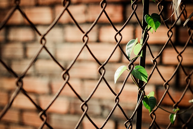 fence-company-640x480-13078086.jpeg