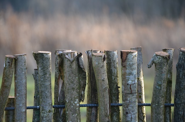 fence-company-640x480-21417603.jpeg
