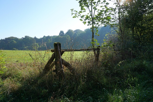 fence-company-640x480-23490926.jpeg